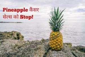 अननास (Pineapple): कैंसर को कैसे खत्म करता है? ब्रोमेलैन क्या है?अनानास खाने के कई फायदे होते हैं: