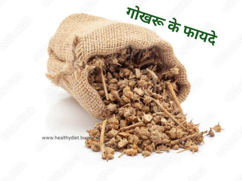 12 बीमारियों को रोकने में पुरुषों के लिए गोखरू के फायदे