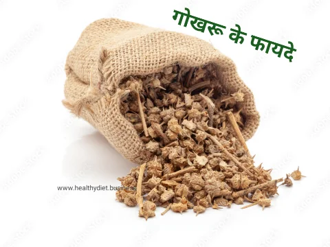 12 बीमारियों को रोकने में पुरुषों के लिए गोखरू के फायदे